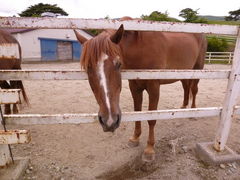 �ߐ{�ǂ��Ԃ����̎ʐ^1