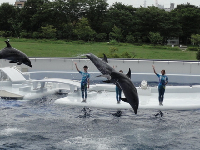 ���s������