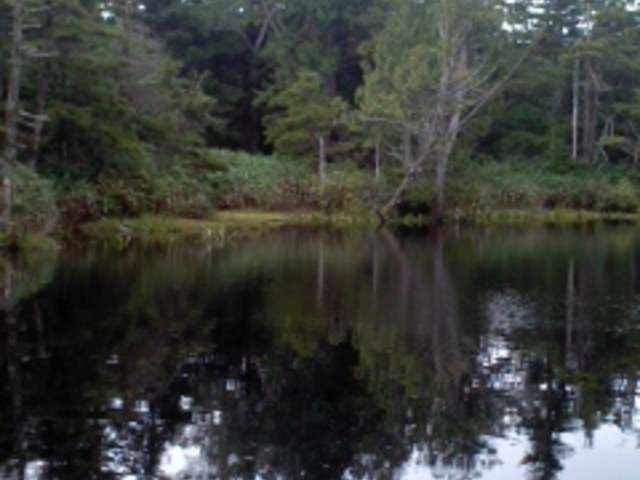 LN̂Ђ傤ri쌧Rmj̓eʐ^1