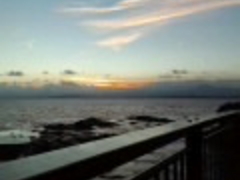 �]�̓��≮�̎ʐ^1