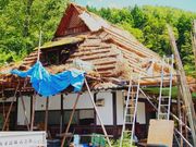 �Ƃ�����񂳂�̔��R����Ԃ����p�ق̓��e�ʐ^1