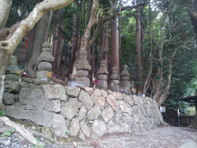 X}[g̕yё̈ꑰ̓̕eʐ^1