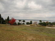 Vs[̐ΐ쌧\oKXpق̓eʐ^1