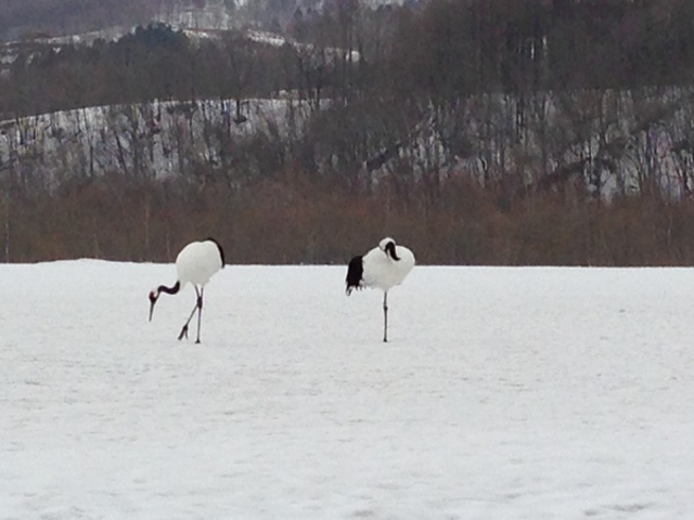 �O���ߎ��R����