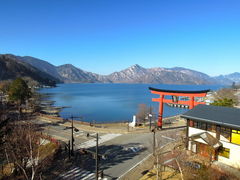 ���T���΂̎ʐ^1