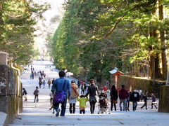 �������Ƌ{�̎ʐ^1