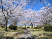 ����񂳂�̒r�������̓��e�ʐ^1