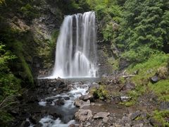 Xvw̑PܘY̑ւ̓eʐ^1