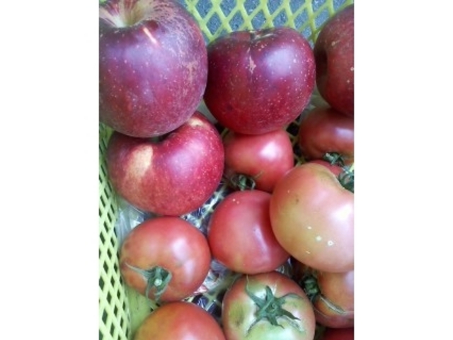 肳̐Γcό_iSEvEu[x[j̓eʐ^1