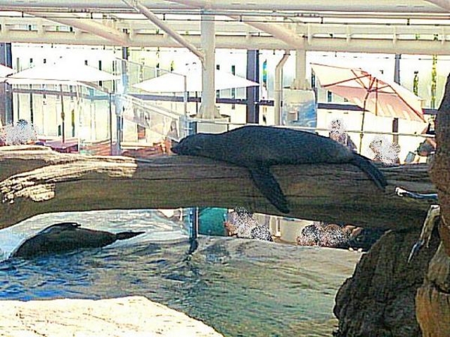 ���s������