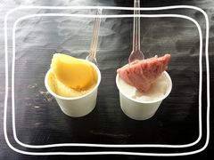 �q���R�����Ruhiel�ւ̓��e�ʐ^1