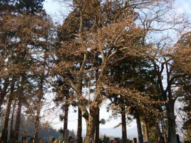 oto-chann̒n@̓eʐ^1