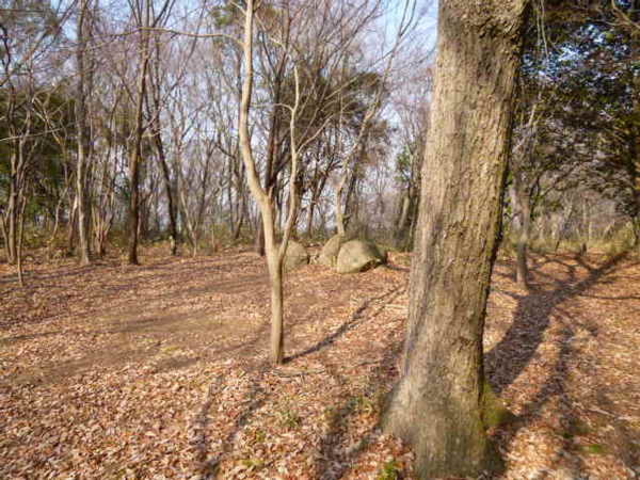 oto-channُ̍Ղ̓eʐ^1