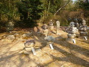 oto-chann̉Fs{Ƃ̕揊̓eʐ^1