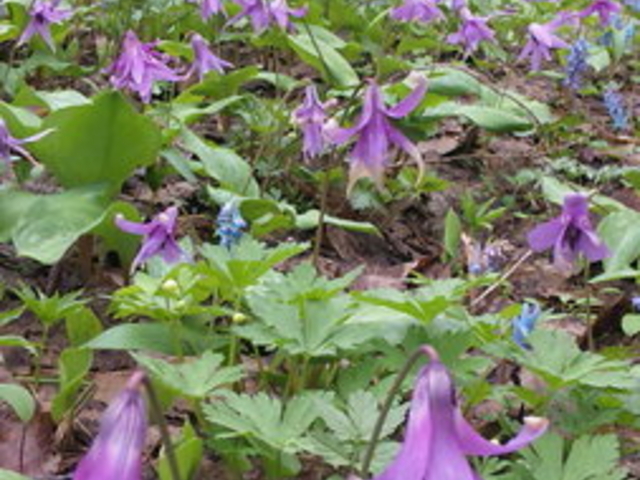 �j�R���R����