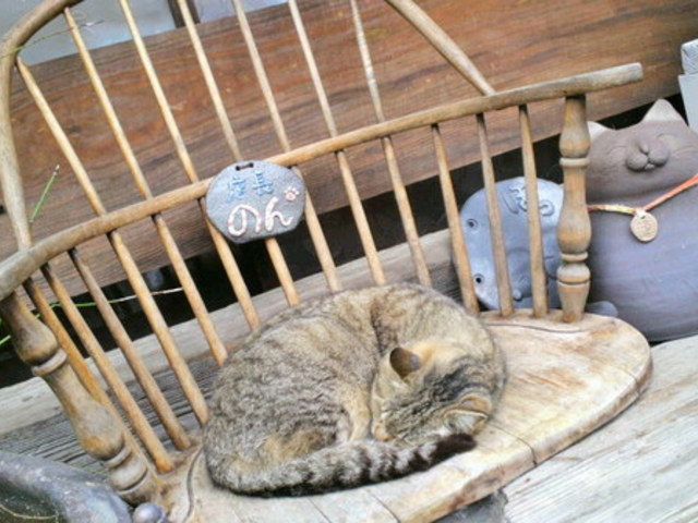 �튊�s��������