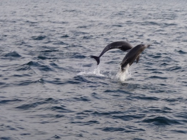 �C���J�E�H�b�`���O�i���̉w �V���s�C���J�Z���^�[�j