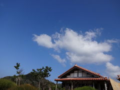 ���Ղ�������̃s�U�i���@�Ԑl���ւ̓��e�ʐ^1