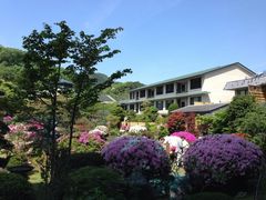 r2d2c3po3̃zeTo[ɓւ̓eʐ^1