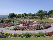 ̂񂿂񂳂̂̂΂牀̓eʐ^1