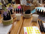 chanchañpVF@̓̓eʐ^1