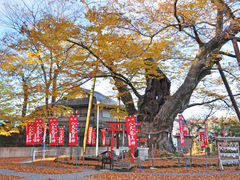 秩父市の動物園 植物園ランキングtop10 じゃらんnet