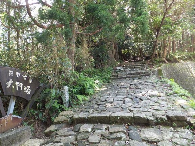 �F��Ó��@����