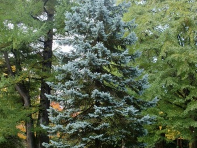 �k�C����w�A����