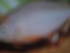 ݂邳̓Ȗ،Ȃ퐅Vւ̓eʐ^1