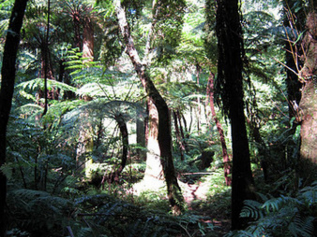 �����w�S