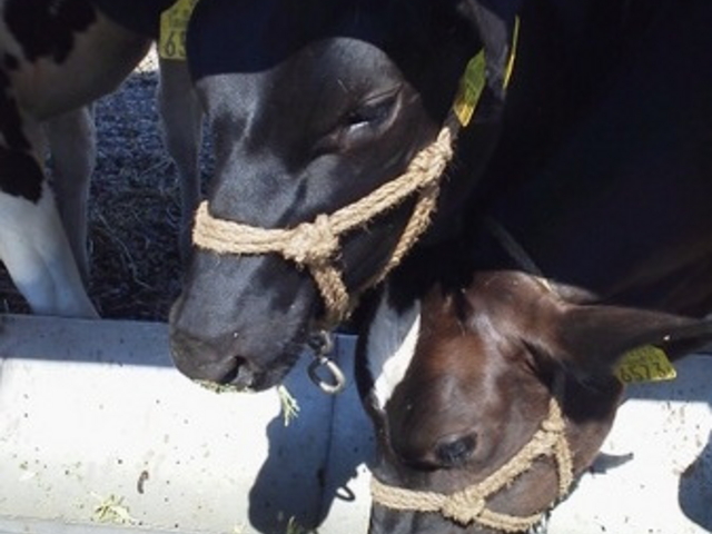 �������P�P�W