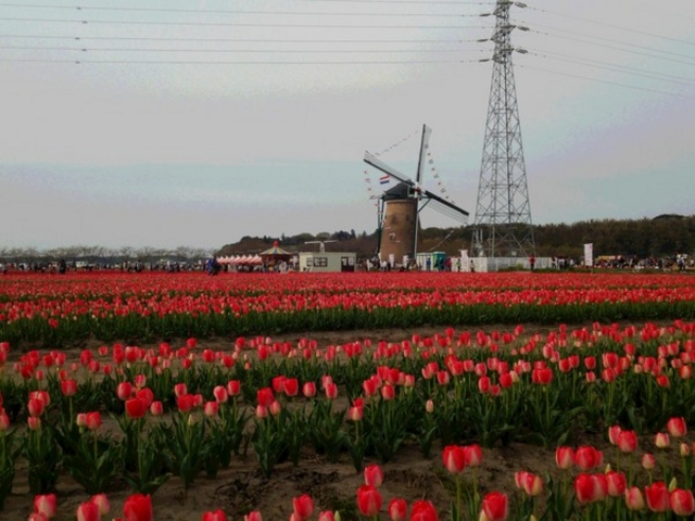 �I�����_���ԃ��[�t�f