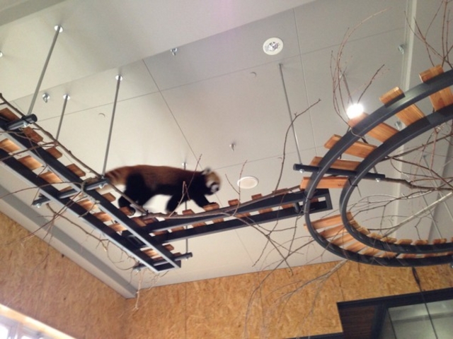 �~�R������