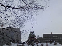 �k�C�������{����(�Ԃ�񂪒���)�̎ʐ^1