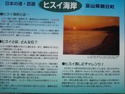 ݂Ԃ̃qXCC݁i{EC݁j̓eʐ^1