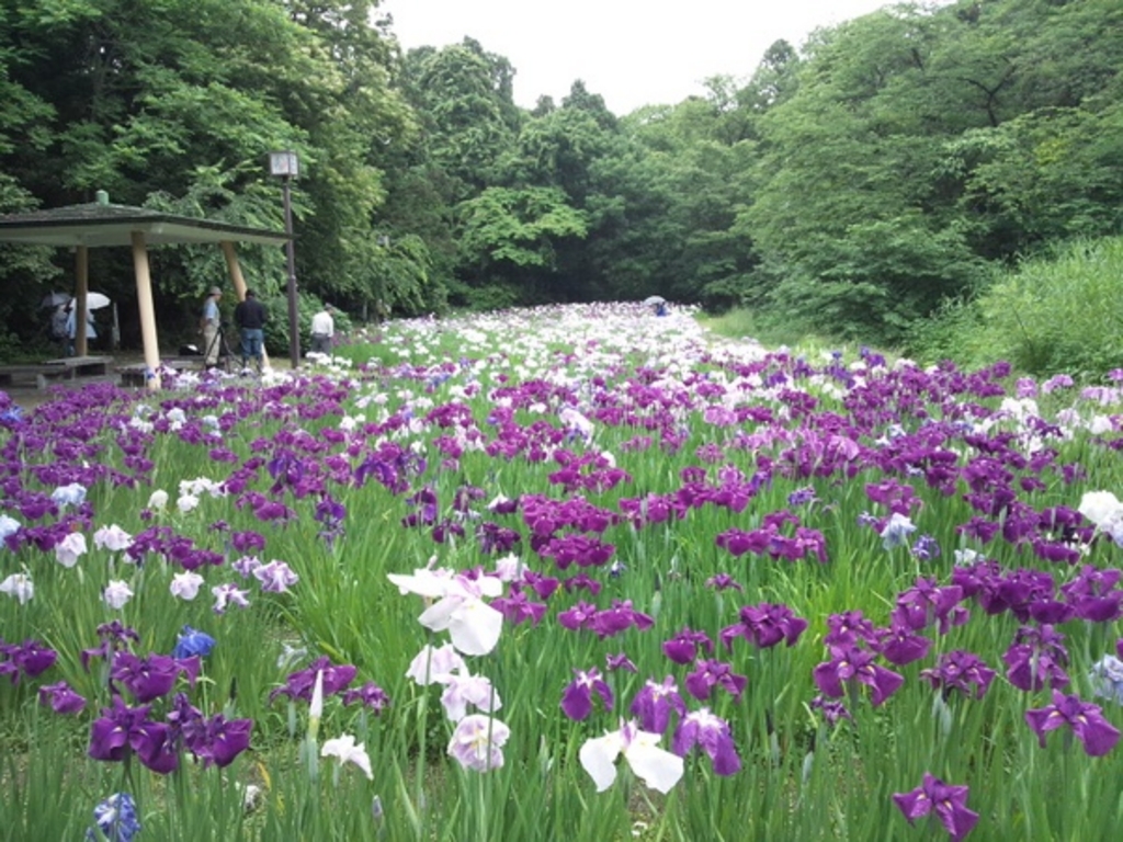 行田公園