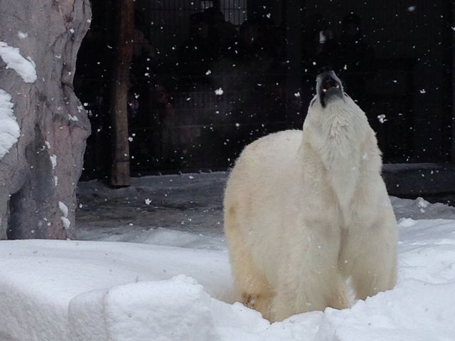 �~�̕����C�L�C�L���Ă܂�_���R������