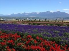 �t�@�[���x�c�̎ʐ^2