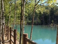 ���r�̎ʐ^1