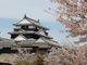 ビビさんの松山城の投稿写真1