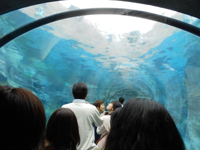 ���R������