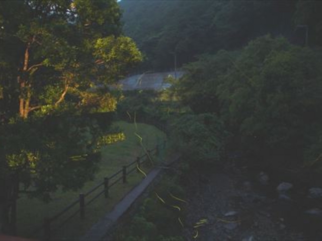 {[Y̑ꌴ@ق̓̓eʐ^1