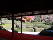 �{�[���Y����̑�r��(�H���뉀)�̓��e�ʐ^1