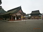 ɂ񂳂̒Ó_Ђ̓eʐ^1