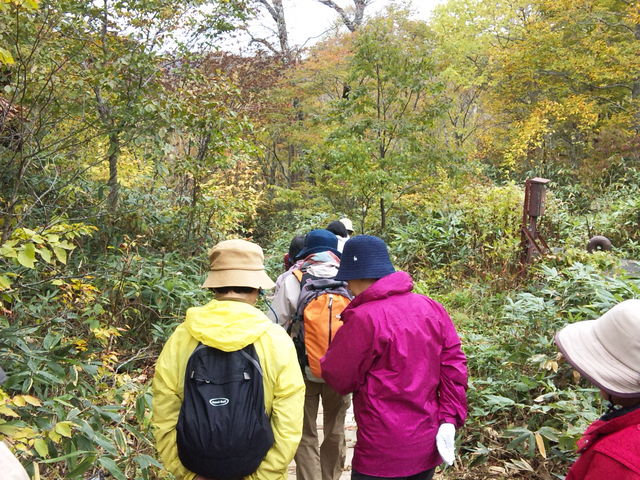 Ƃ񂳂̃fRRӂꂠV̓eʐ^1