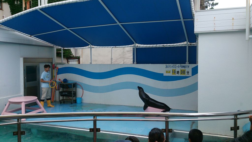 竹島水族館