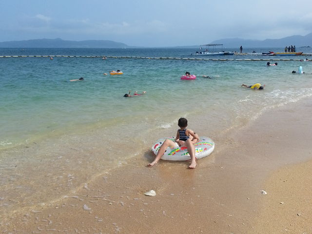 �t�T�L�r�[�`