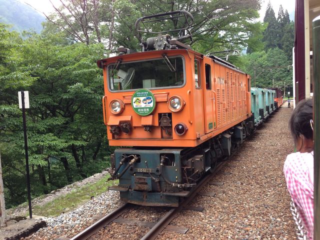 ~Ȃǂ̍G͎O\񂪃IXXł_JS