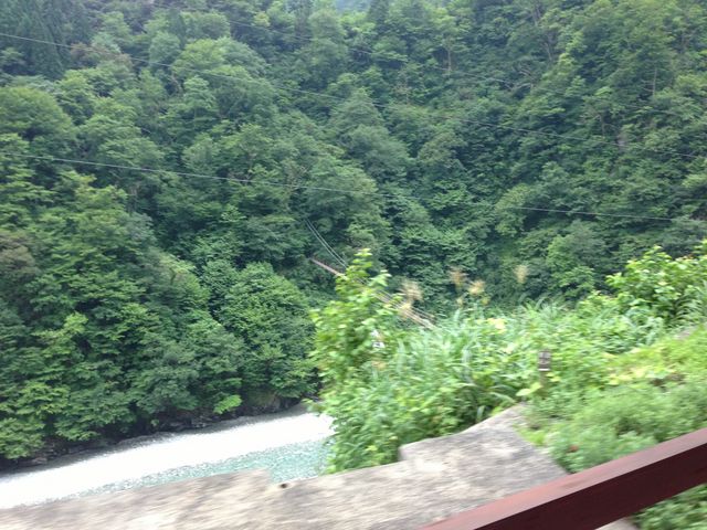 �C��26�x�Ɠ��e�͗������قǂł���_�������J�S��
