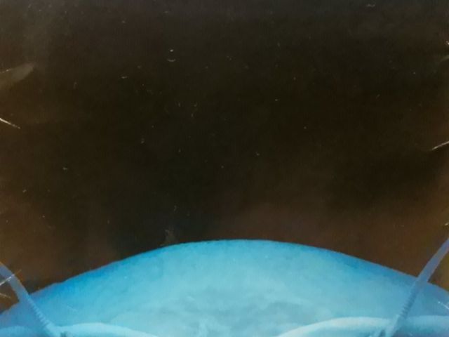 �_�C�I�E�O�\�N���V���\���̑f�G�ȃp���t_���Í`�[�C�����ف`�V�[���J���X�E�~���[�W�A���`